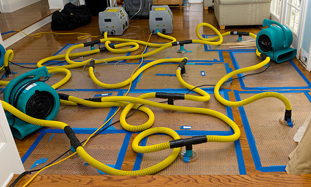 Professional Water Damage Repair technician working in Lincolndale, NY